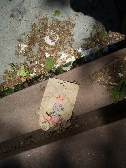 Stephen Shore, New York, New York, May 19, 2017