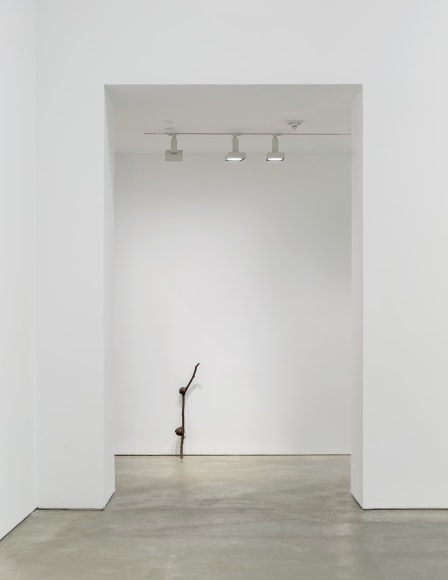Nina Canell, Carrier