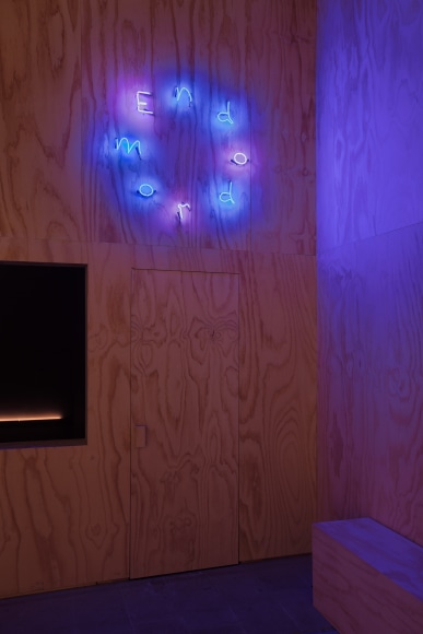Dominique Gonzalez-Foerster, Endodrome, 2019