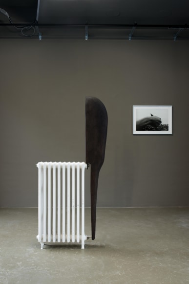 Courtesy of the artist and La Loge. Image by Lola Pertsowsky.
