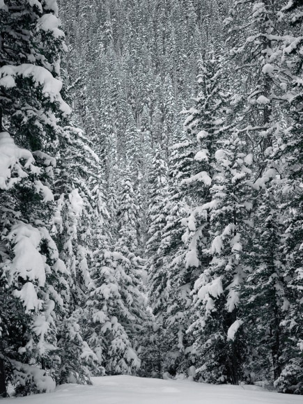 Stephen Shore, Hyalite Canyon, Gallatin County, Montana, December 26, 2017