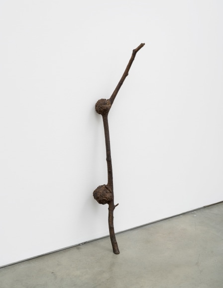 Nina Canell, Carrier