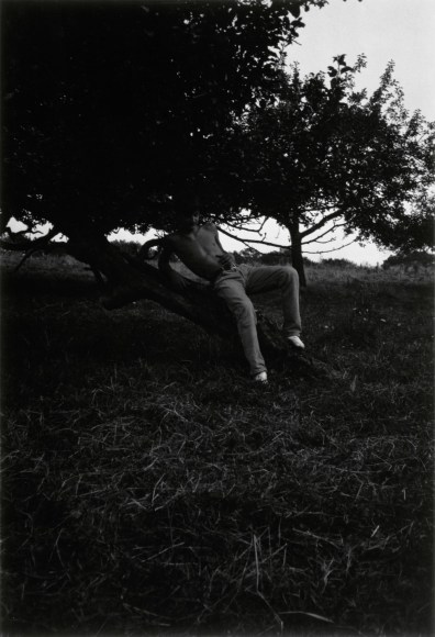 Collier Schorr, Young Ethan Frome, 1994