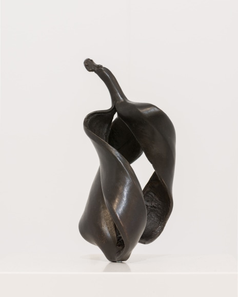 Alicja Kwade, Quantenbanane, 2015