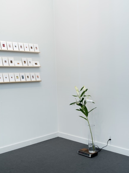 Installation view Frieze New York, 2016