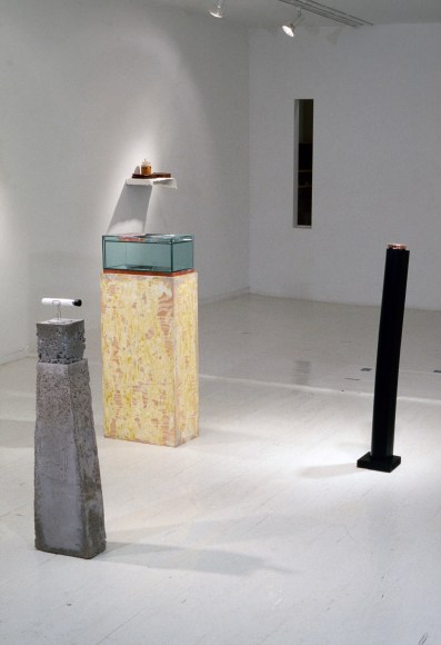 Installation view: Liz Larner, Richard Morrison, Charles Ray, Nayland Blake, 303 Gallery, New York, 1988