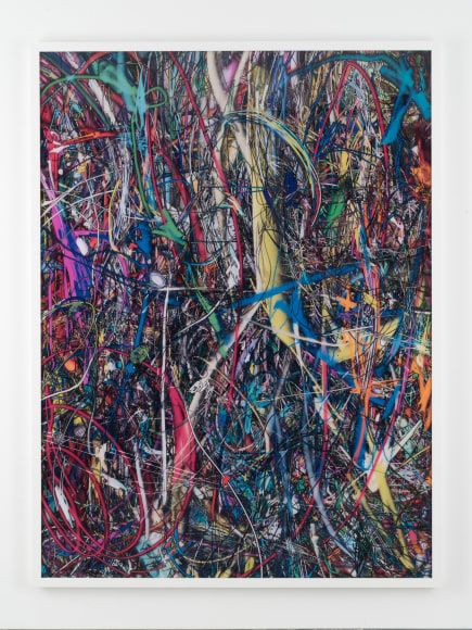 Florian Maier-Aichen, Untitled (Lasso Painting #3), 2016