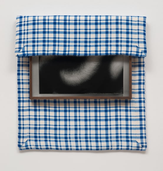 Elad Lassry, Untitled (Artwork), 2013