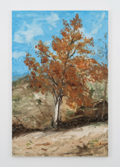 Tanya Merrill, Ash Tree Before It Faced Extinction