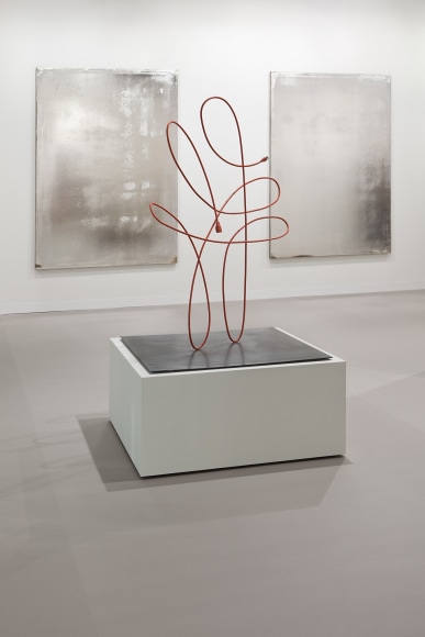 Art Basel, 2013, 303 Gallery, Hall2.1, Booth J21