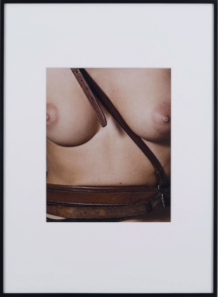 Collier Schorr, Rabelais in Reverse
