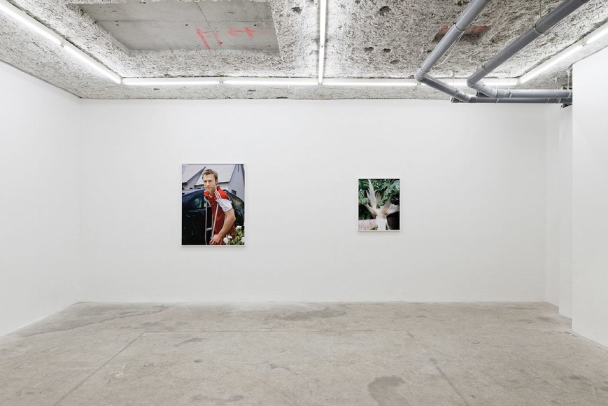 Installation view, Louisa, Balice Hertling, Paris, 2016. Photo credit: Aur&eacute;lien Mole.