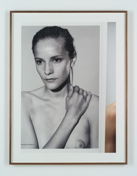 Collier Schorr Dorothea
