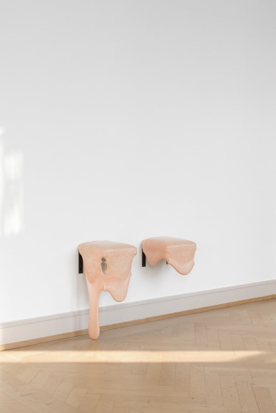 Nina Canell, Gum Shelves