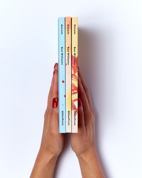 Sue Williams, Details, 303inPrint, 2017