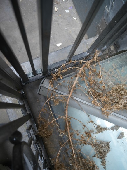 Stephen Shore, London, England, June 30, 2017