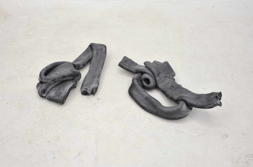 Nina Canell, Shedding Sheaths (B)