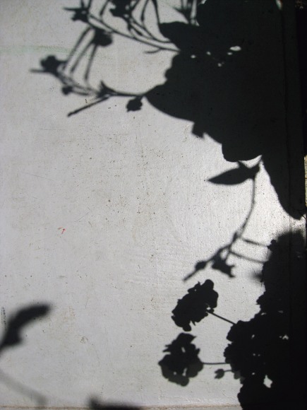 Collier Schorr, Arrangement #20 (Shadow)