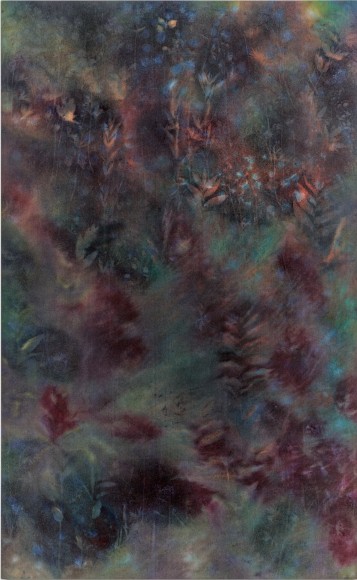 Sam Falls, Untitled (Ozark National Forest, 1), 2018