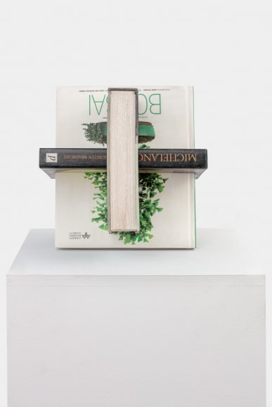 Matt Johnson, Intersecting Books (Henry Moore, Michelangelo, and Bonsai)