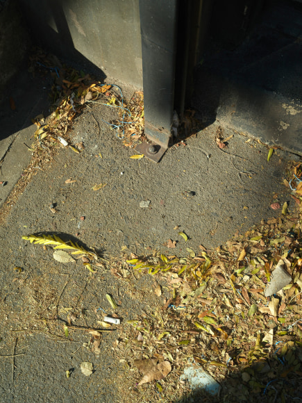 Stephen Shore, New York, New York, November 29, 2017