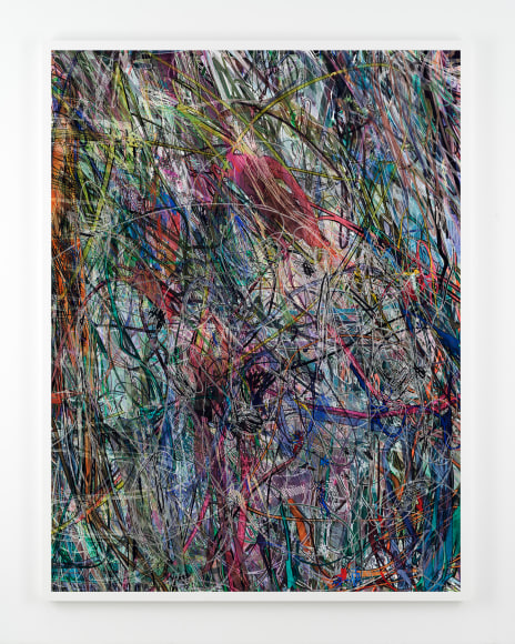 Florian Maier-Aichen, Jon Snow (Lasso Painting#2), 2017