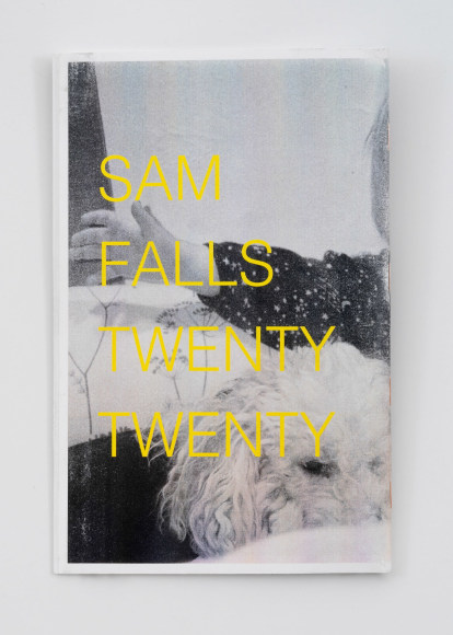 Sam Falls: Mother Nature Sister Brother