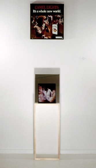 Fareed Armally, Installation view