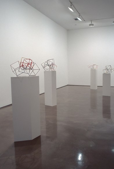 Liz Larner, Installation view: East of What?, 303 Gallery, 2003