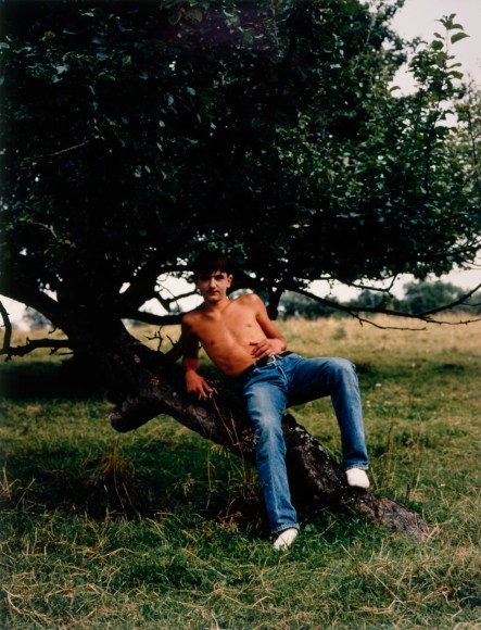 Collier Schorr, A Possible Mutation, 1994