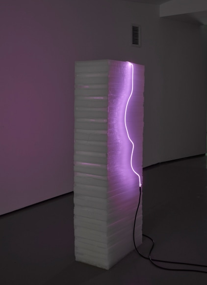 Sam Falls, Untitled (Arctic Body), 2018, Argon, glass, wax, electrical components