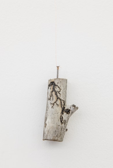 Nina Canell, Halfway Between Opposite Ends