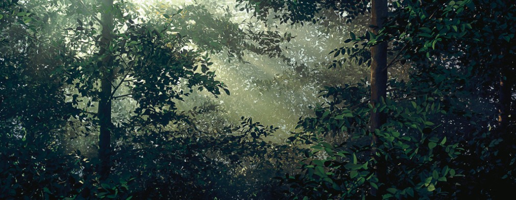 Thomas Demand, Clearing, 2003