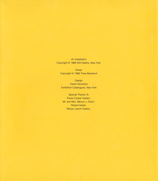 Dan Flavin, Robert Gober, Yves Klein, An Installation