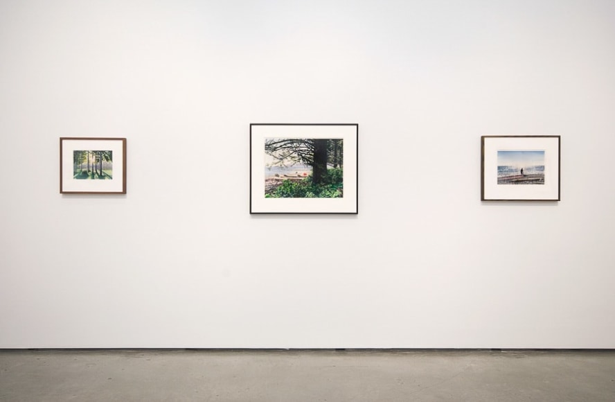 Tim Gardner, Installation view: Contemporary Art Gallery, Vancouver, 2009