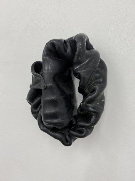 Nina Canell, Shedding Sheaths (O)
