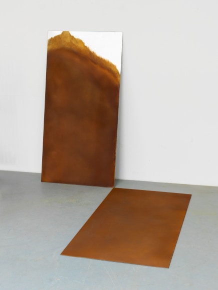 Alicja Kwade, Trait Transference, 2015
