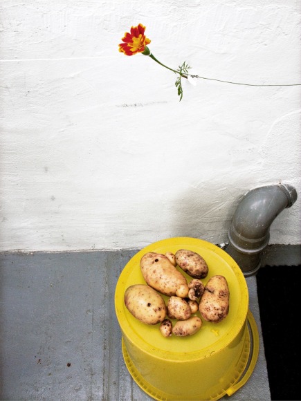 Collier Schorr, The House of Pictures