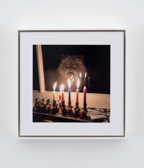 Stephen Shore, Tivoli, New York, December 17, 2017