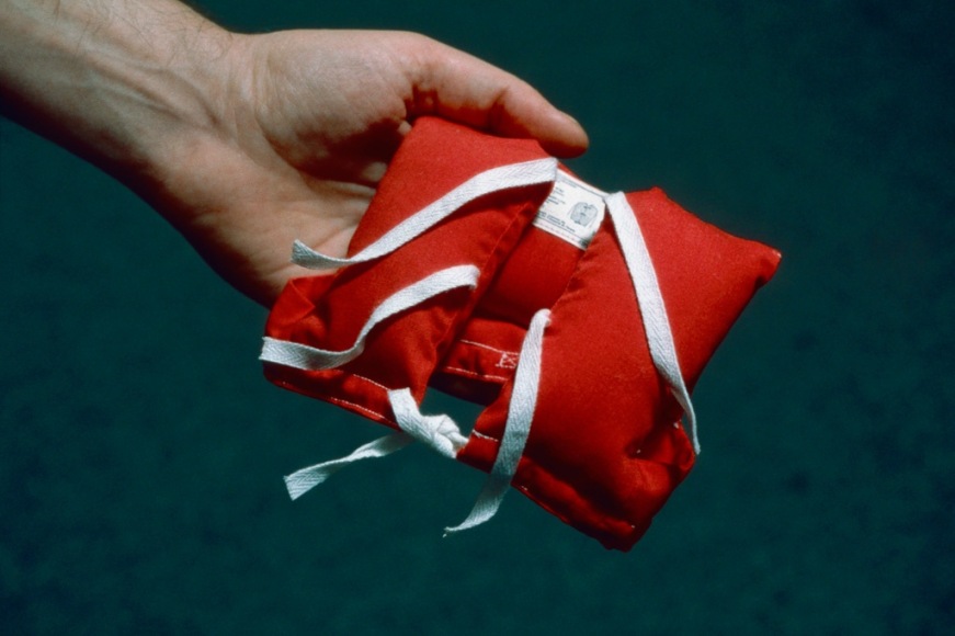 Bill Burns, Safety Gear for Small Animals,&nbsp;1994