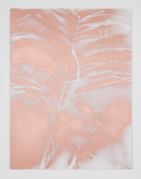 Kim Gordon. Atwater Village Palm. 2019