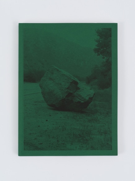 Sam Falls: Milk Stone