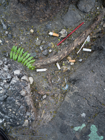 Stephen Shore, New York, New York, May 19, 2017