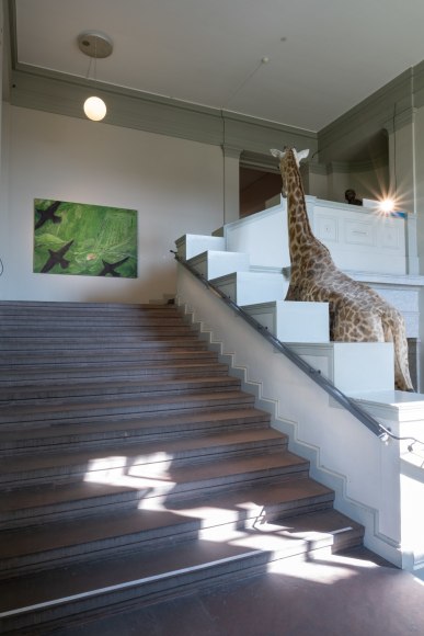 Installation view: Tanya Merrill, Parcours, Natural History Museum Basel, 2023. Photo: Finn Curry