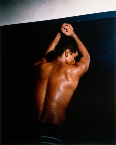 Collier Schorr, Allogenes