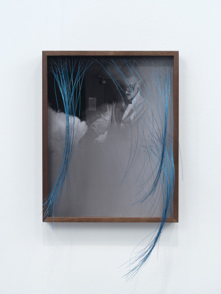 Elad Lassry, Man (lab), 2017