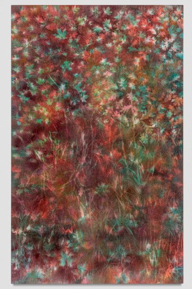Sam Falls, Untitled (Ouachita National Forest, 1), 2018. Courtesy of 303 Gallery.