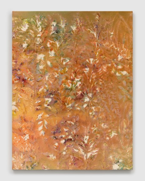 Sam Falls, Summer Sun