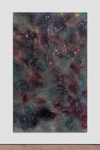 Sam Falls, Untitled (Ozark National Forest, 1), 2018