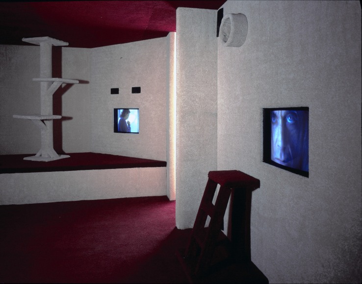 Doug Aitken, cathouse, 1997